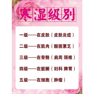 湿寒体质是万病之源海报中医养生馆挂画养生文化背景墙养生装饰画