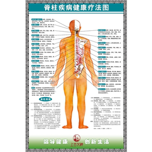 脊柱疾病健康疗法图自主神经系概观示意图海报脊神经分布图贴纸