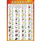 常见水果功效图营养介绍超市水果店大挂图海报水果温平寒凉热属性