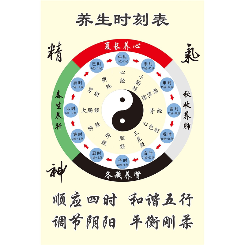 中医养生十二时辰养生时刻表四季软装墙贴