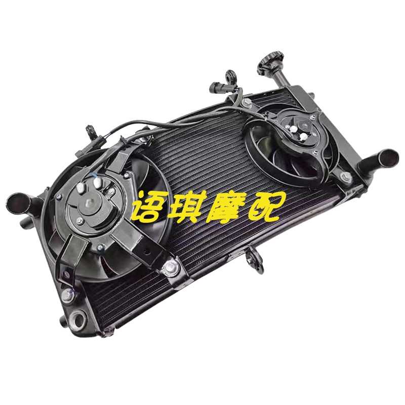 适用于贝纳利大魔鬼752S BJ750GS水箱组件总成水冷散热器散热器