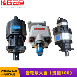 倾卸车翻斗车齿轮泵油泵阀连身双联泵举升泵陕汽重汽海沃后出100