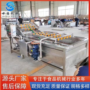 供应全自动果脯清洗机 不锈钢杨桃气泡清洗机 蒲公英根清洗机