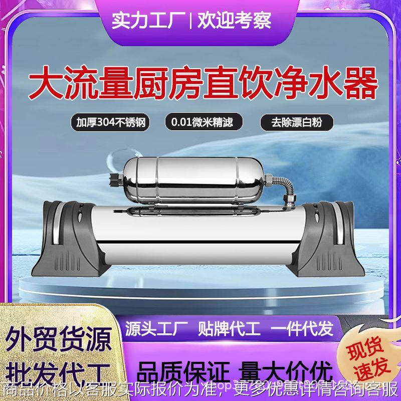 厨房净水器家用直饮机自来水过滤器大流量不锈钢去余氯子母机