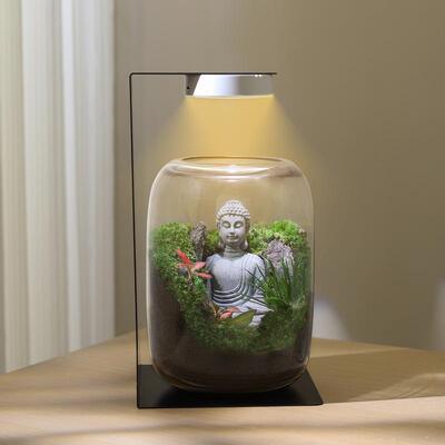 苔藓微景观生态瓶造景植物桌面小摆件悟空玻璃森林生态雨林养鱼缸