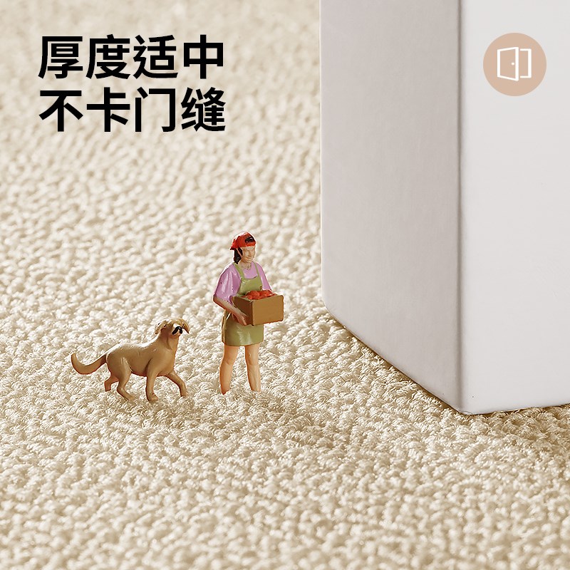 入户门地垫耐脏进门脚垫玄关家用门厅地毯大门口垫子家用防滑门垫