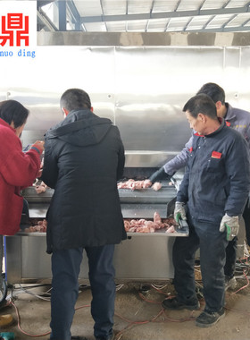 IQF速冻机  网带式隧道速冻机 薯条薯片低温速冻设备价格 诺鼎