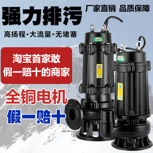 污水泵抽粪沼气池220V潜水泵农用灌溉水排污泵高扬程泥浆三相380V