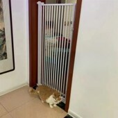 宠物阻拦门宠物门楼梯口隔断门阳台养猫狗狗定点上厕所围栏简易