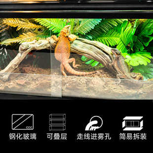 Giangarden巨人爬宠饲养箱变色龙蜥蜴玻璃爬缸陆龟雨林造景爬虫箱