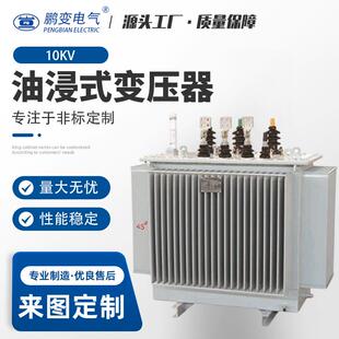 10配电S11 电气油浸式 变压器S11 3010KV特殊规格