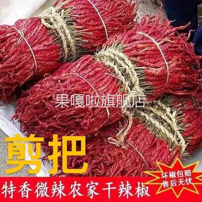 新疆特产微辣特香二荆条辣皮子不辣的干辣椒线椒辣椒粉辣椒段日晒