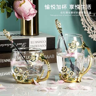创意新款 珐琅彩水杯耐热玻璃杯花茶杯茉莉花家用杯子套装 咖啡杯