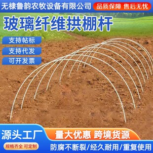拱大棚骨架搭棚杆子拱棚种菜玻璃纤维杆配件小支架棚架架子新型