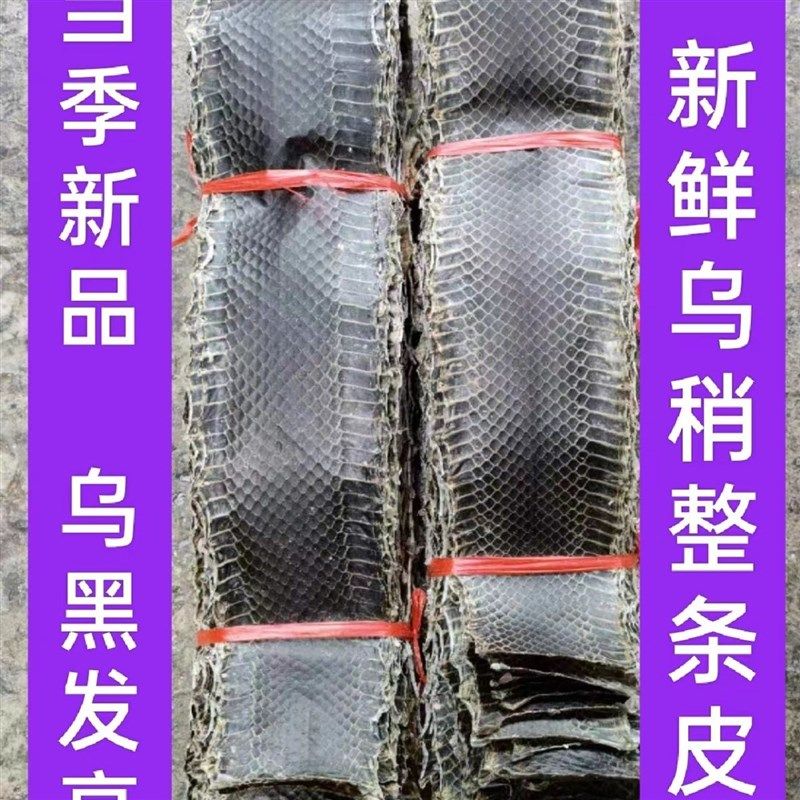 乌稍蛇皮 京胡蛇皮整条京胡蛇皮 京胡蒙皮蛇皮P乌蛇皮越胡京二胡