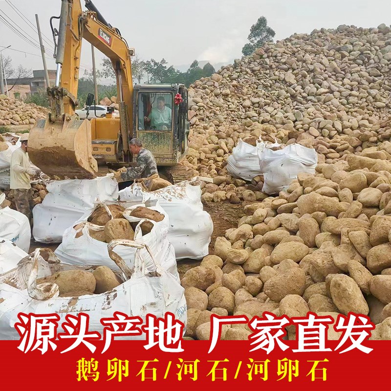 大鹅卵石天然河卵石工程河石铺路铺地水冲石溪P流石河滩石产地直