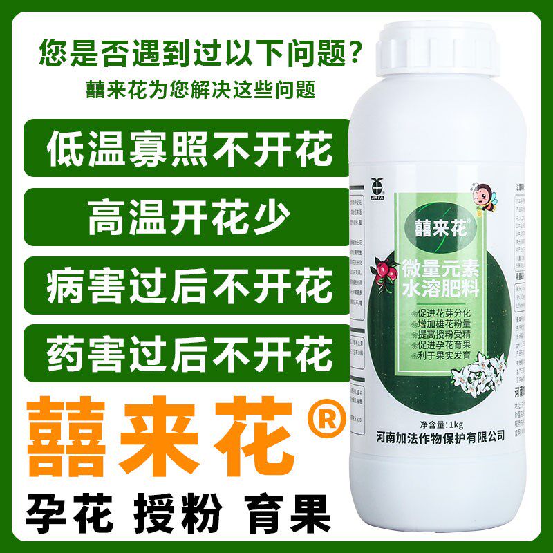 囍喜来花 促进瓜果蔬菜药材花卉花芽分化 催花促果 花多多果多多