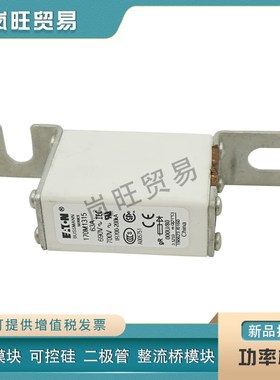 快速熔断器170M1315 1316 1317 z1318 1319 1320 1321 1322保险丝