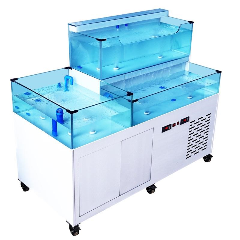 海鲜池商用酒饭店海鲜鱼缸超市卖鱼池水产海鲜混养池制冷过滤一体