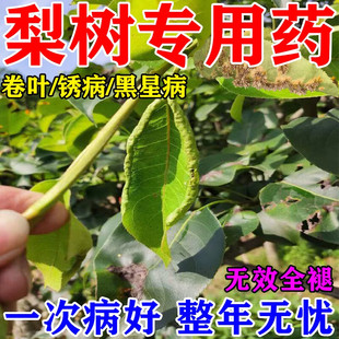 梨树专用药梨树卷叶铁锈病专用药治叶子发黄褐斑烂果杀虫杀菌剂