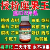 保花保果药防落果座果灵瓜果蔬菜果树通用催花强效授粉王坐果精JY