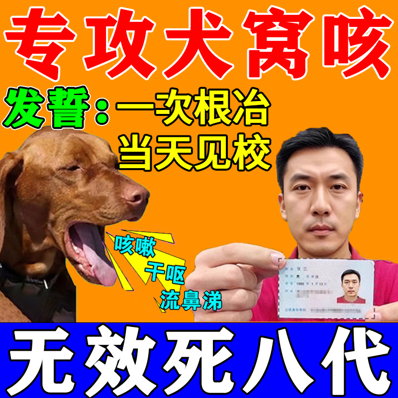 窝咳净犬窝咳特效专用药狗狗咳嗽干呕小狗感冒流鼻涕药犬窝咳克星
