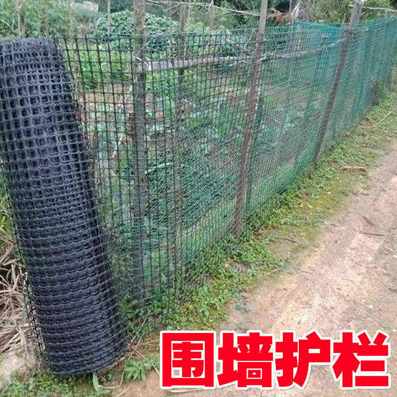 养鸡养鸭围栏g网塑料网产地直供拦鸡网土工格栅网防护隔离网网格