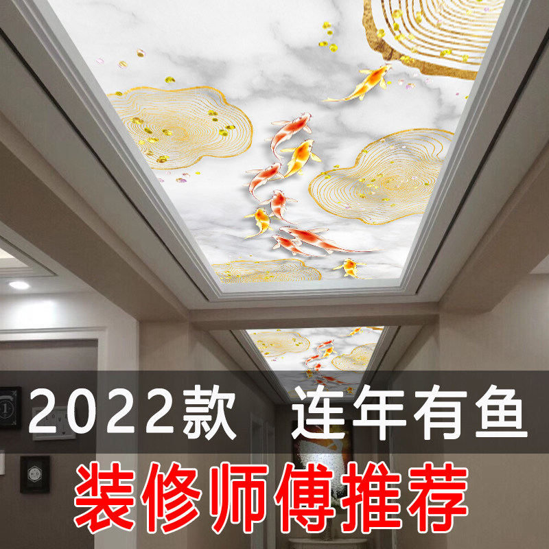新品麋鹿线条亚克力透光板定制艺术玻璃吊顶走廊过道吊顶玻璃灯箱