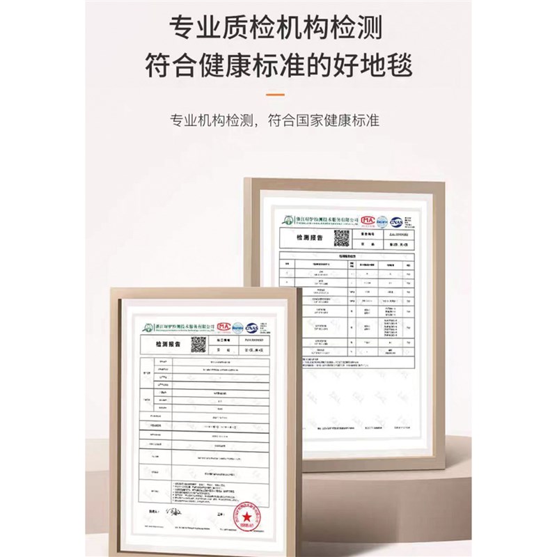 2024新款入户门地垫进门门垫大门口玄关脚垫防滑高端定制家用地毯