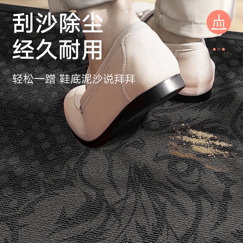 地垫入户门垫2025新款刺绣门口耐脏免洗进门脚垫玄关除尘地毯