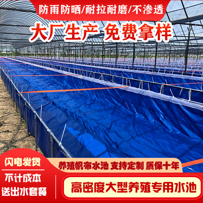 养殖帆布水池大棚鱼池加厚刀刮布水池水蛭龙虾对虾锦鲤鱼水箱养鱼