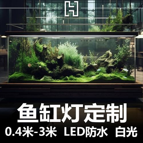 鱼缸灯定制全光谱2025新款专用LHED防水照明植物灯水草灯