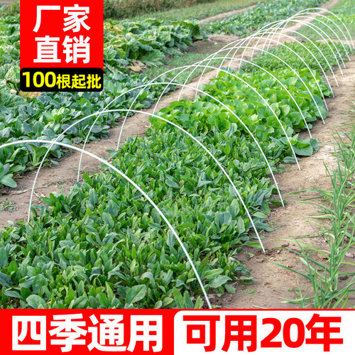 玻璃纤维拱棚支架大棚骨架保温棚拱杆花棚菜棚农用S拱竿玻璃纤维