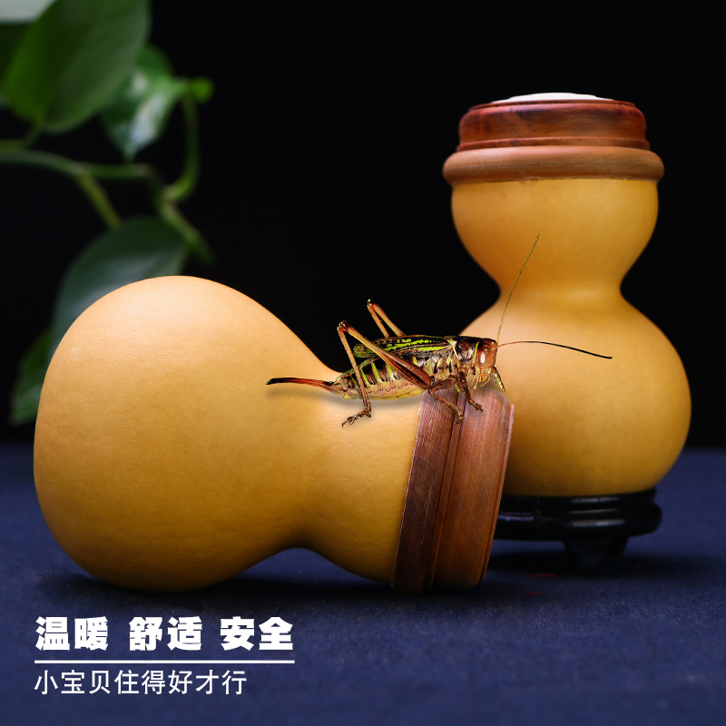 蝈蝈葫芦叫罐笼子蛐蛐罐文玩精品保温过冬摆件把件实木蒙心带铜胆