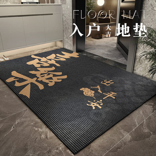 现代简约进门门口脚垫子玄关耐脏家用地垫中N式风免洗耐脏防滑脚