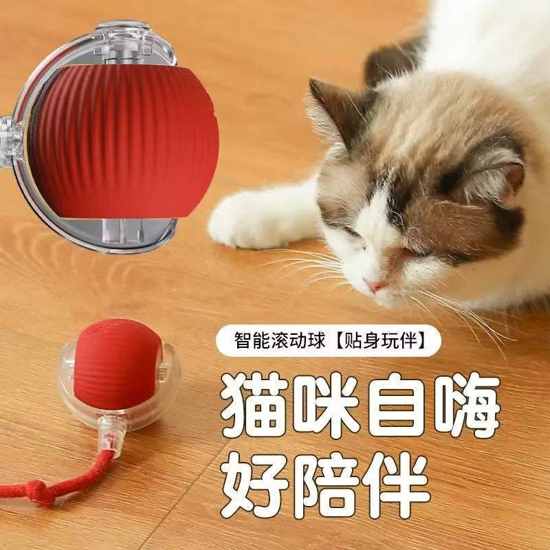 新品猫玩具球电动猫咪玩具狗狗自嗨神器解闷带绳球宠物猫咪玩具球