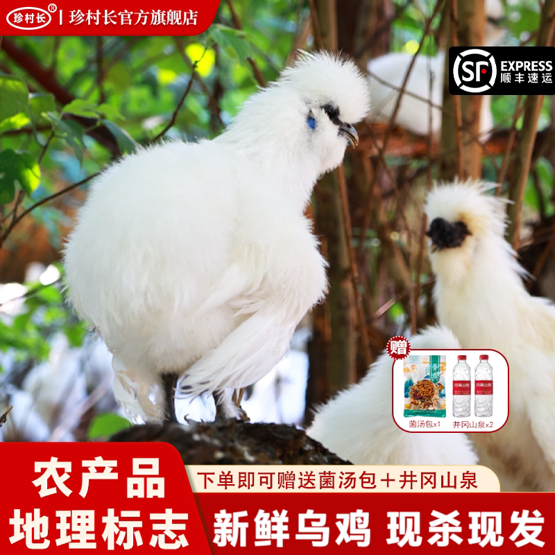 泰和原种乌鸡新鲜现杀产地直发正