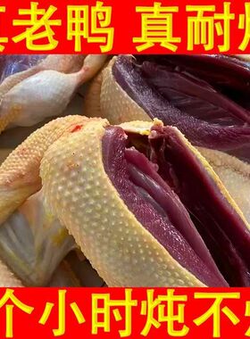 【绿色健康】雁鸭非农家散养鸭非新鲜现杀鸭老鸭鸭肉白条鸭送炖料