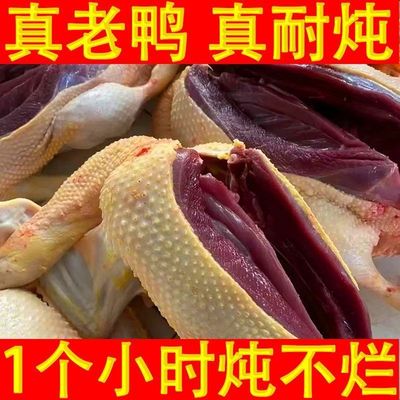 十斤超大雁鸭整只非新鲜现杀散养整只黄皮鸭正宗老鸭耐炖肉不柴
