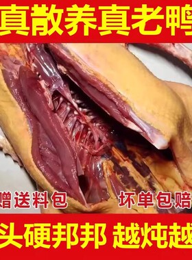 【绿色健康】鸭子非农家散养鸭非新鲜现杀鸭老鸭鸭肉白条鸭送炖料