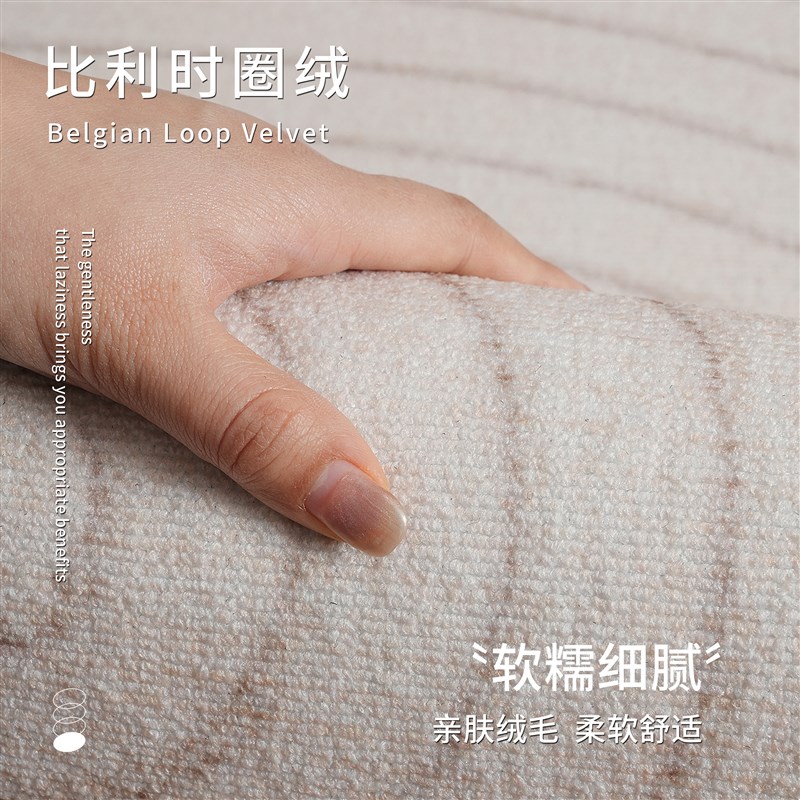 高级感轻奢客厅地毯2025新款免洗可擦沙发茶几毯卧室房间床边地垫
