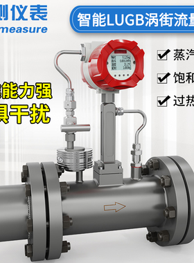 联测气体涡街流量计蒸汽天然气压缩空气沼气液体高精度防爆计量表