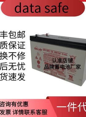 data safe蓄电池 NPX-35FR 12V35W 医疗设备船舶UPS应急电池
