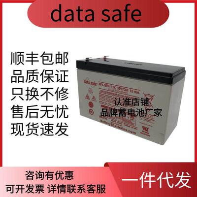 datasafe蓄电池NPX-35F