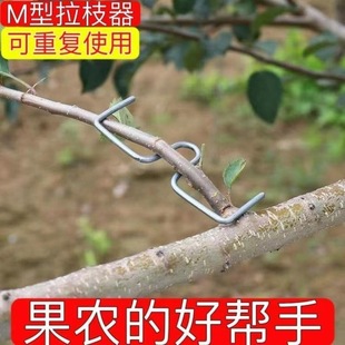 果树压枝神器M型拉枝定型器拉枝定型压弯枝条固定器别枝器树枝W型