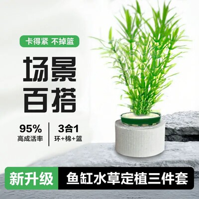 新款水草定植三件套陶瓷环固定杯