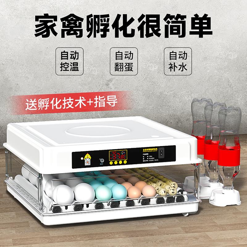 孵化器小型家用孵化机全自动智能孵化箱小鸡鸭鹅鸽鹦鹉种蛋孵蛋器