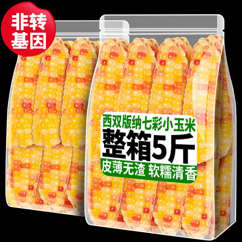 速发西双版纳七彩拇指小玉