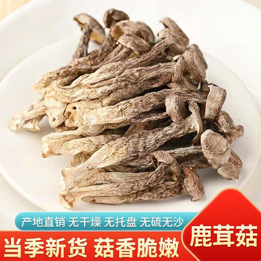 云南鹿茸菇干货鹿茸菇碎干货鹿茸菌500g脆脆菇菌云南片无硫菌