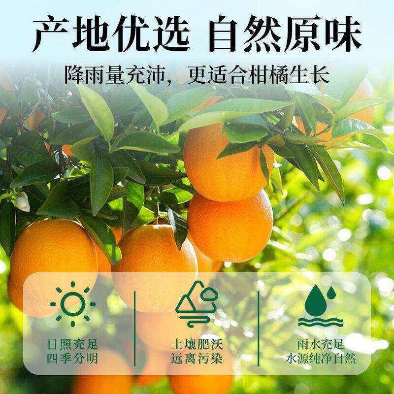 福茗源茶叶养生茶 橘红八仙果500g 化州八珍果干陈年柚子参甘草片